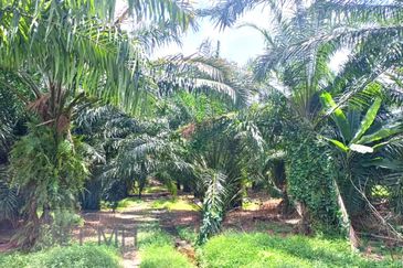 Telok Panglima Garang