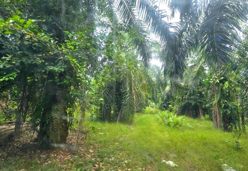 Telok Panglima Garang