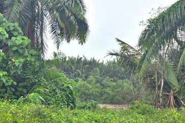 Telok Panglima Garang