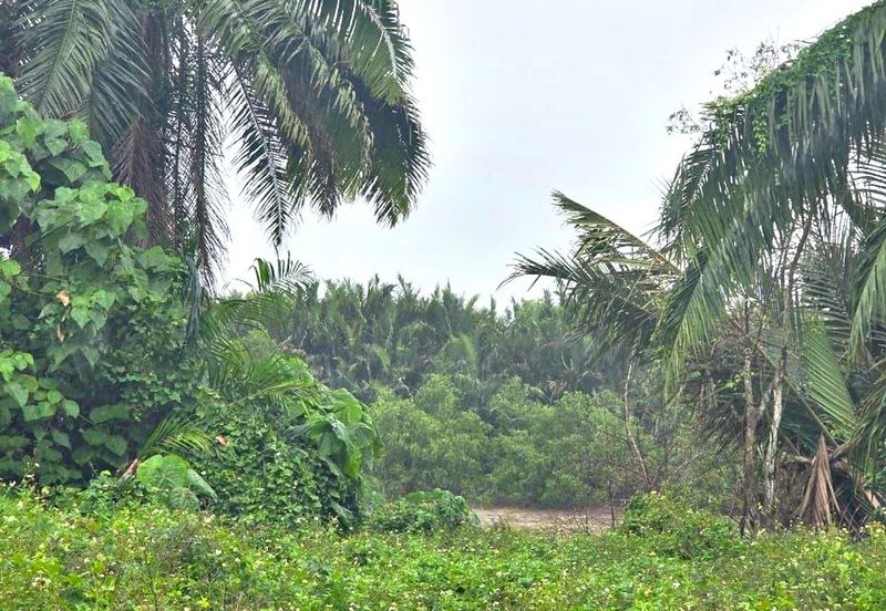 Telok Panglima Garang