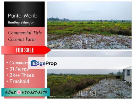 BEST Value 🌸 Commercial Title Coconut Farm for SALE 🏡 Rumah untuk Jual @ Pantai Morib, 42700 Banting, Selangor, Selangor, Banting