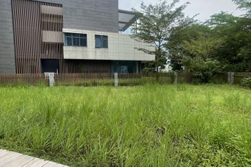 Anise Pearl @ Forest City