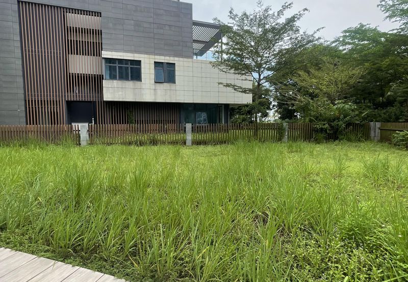 Anise Pearl @ Forest City