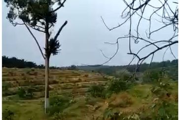 Freehold agriculture land for sale