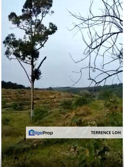 Freehold agriculture land for sale, Melaka, Melaka Tengah