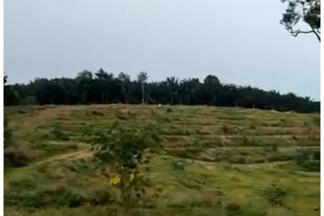 Freehold agriculture land for sale