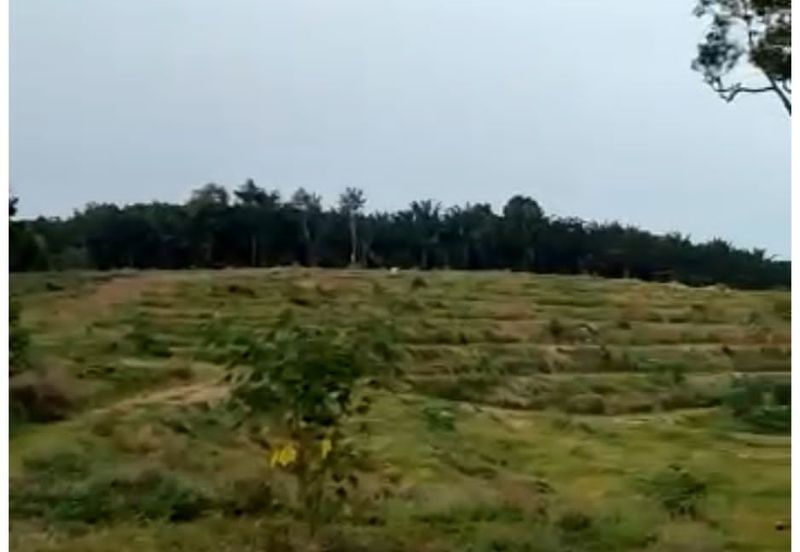 Freehold agriculture land for sale