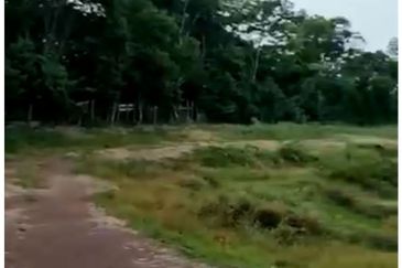 Freehold agriculture land for sale