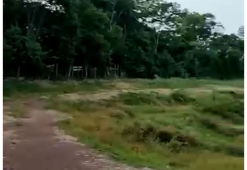 Freehold agriculture land for sale