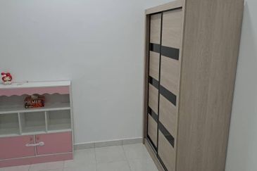 The Rise Collection 3