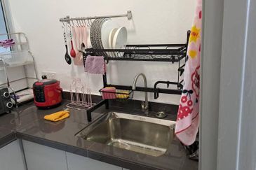 The Rise Collection 3