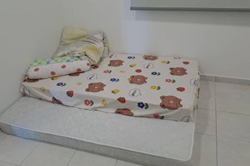 The Rise Collection 3