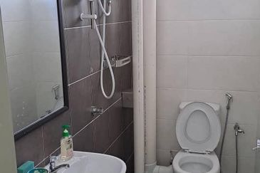 The Rise Collection 3