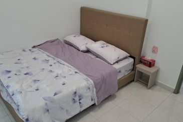 The Rise Collection 3