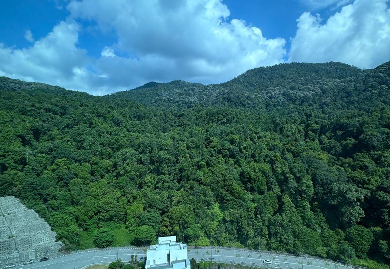 Ferringhi Residence 2