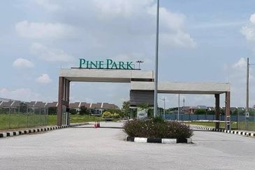 Pine Park