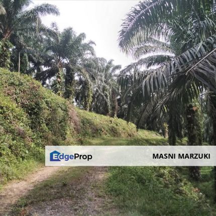 TANAH KELAPA SAWIT LENGGENG NEGERI SEMBILAN, Negeri Sembilan, Seremban