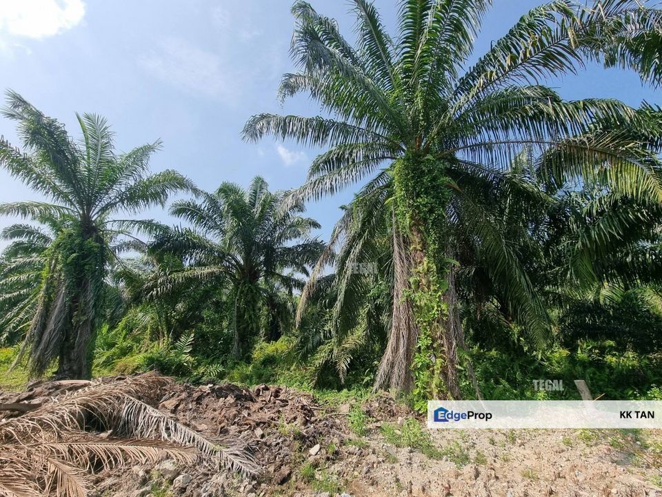 Jeram Industrial Zoning Agriculture Land 11 Acre Prime Location Best Buy Kapar, Selangor, Kuala Selangor