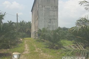 Kuala Selangor Jalan Telok Penyamun Agriculture Land Best Buy 1 Acre