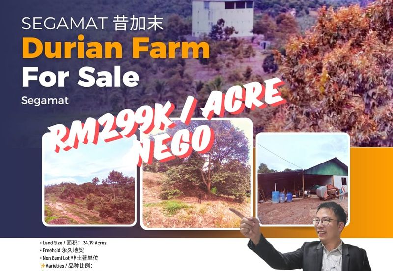 Segamat Durian Farm 24 Acres