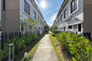 Setia Warisan Tropika (Belladonna)