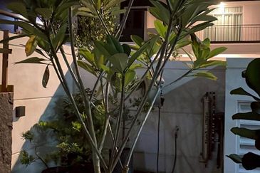 Puteri Residences @ Taman Puteri