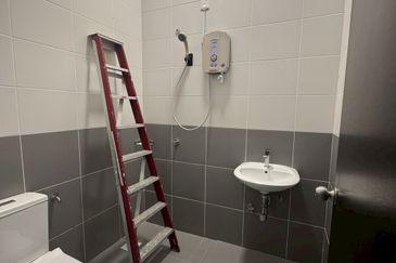 Tate Callington @ Eco Botanic 2