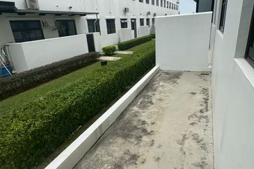 Tate Callington @ Eco Botanic 2