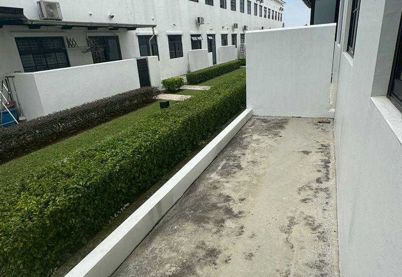 Tate Callington @ Eco Botanic 2