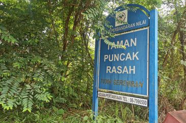 TAMAN PUNCAK RASAH