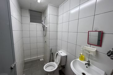 The Stone, Paya Terubong