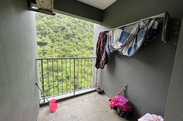 The Stone, Paya Terubong