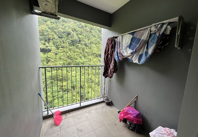 The Stone, Paya Terubong