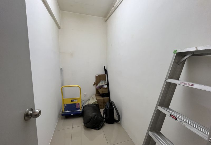 The Stone, Paya Terubong