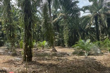 Kawasan Perindustrian Pontian