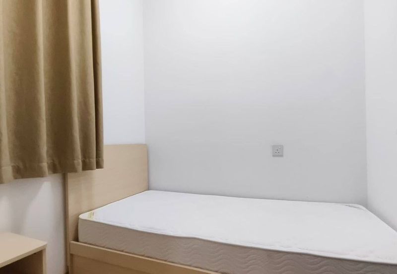 Regalia Park @ Forest City