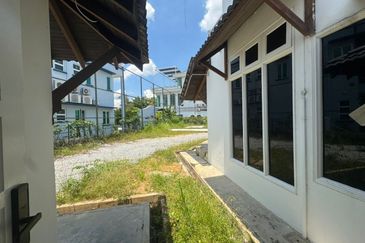 Stulang Laut / Darat