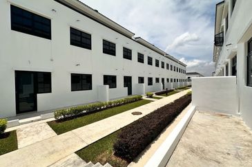 Tate Dalton @ Eco Botanic 2