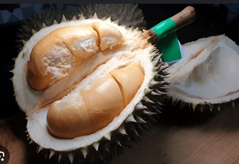 Raub Durian Land Pahang 3.784 Acres Freehold