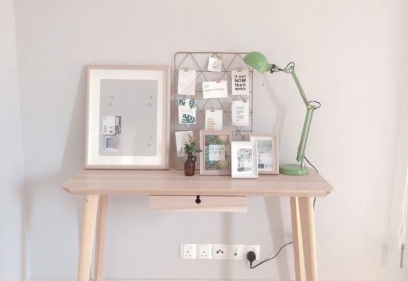 Cyperus @ Tropicana Gardens