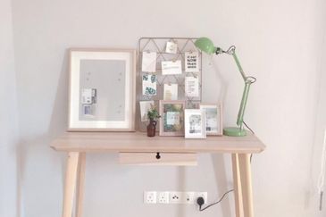 Cyperus @ Tropicana Gardens