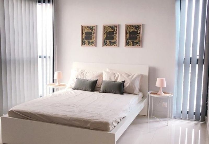 Cyperus @ Tropicana Gardens