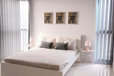 Cyperus @ Tropicana Gardens