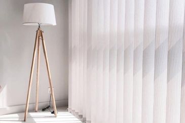 Cyperus @ Tropicana Gardens