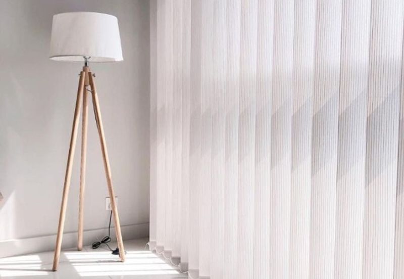 Cyperus @ Tropicana Gardens