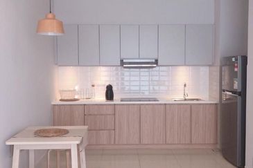 Cyperus @ Tropicana Gardens