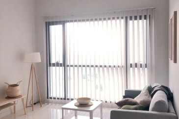 Cyperus @ Tropicana Gardens