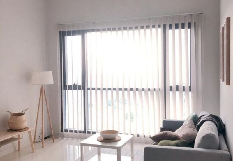 Cyperus @ Tropicana Gardens