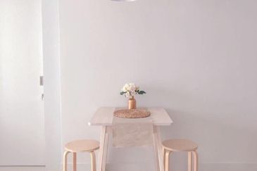 Cyperus @ Tropicana Gardens