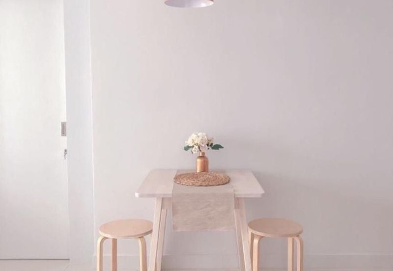 Cyperus @ Tropicana Gardens